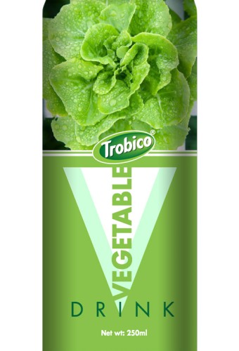 Vegetable alu can 250ml